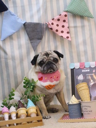 20250513くりこちゃん 